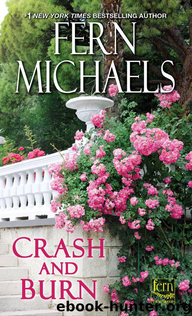 Crash and Burn by Fern Michaels