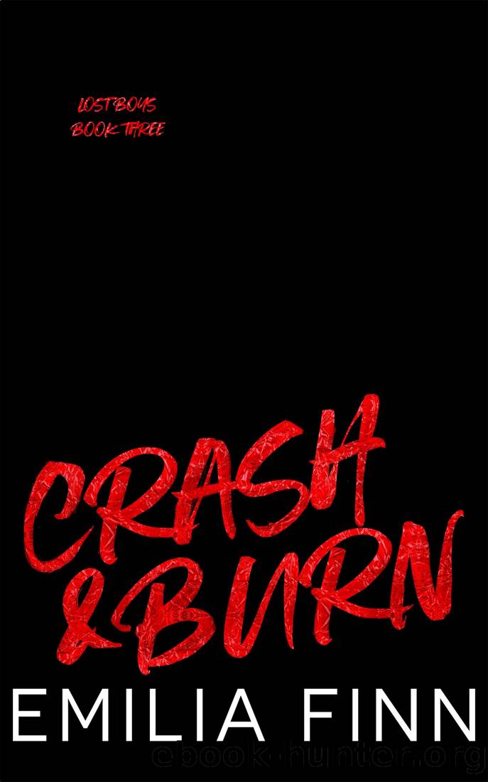 Crash and Burn by Finn Emilia