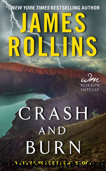 Crash and Burn by James Rollins