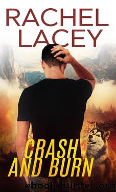 Crash and Burn by Rachel Lacey