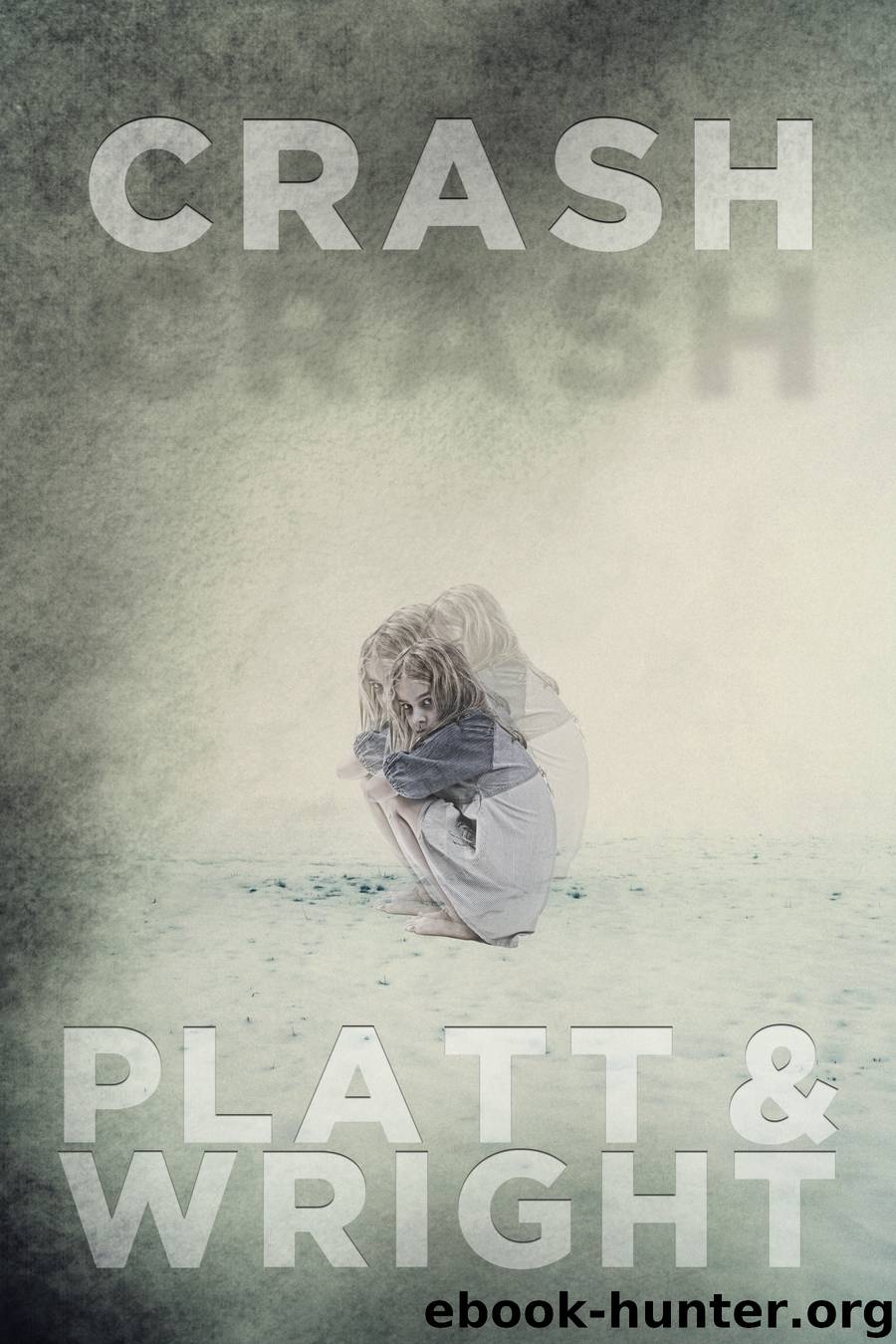 Crash by David Wright & Sean Platt