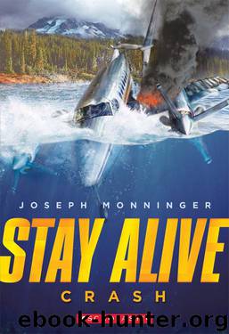 Crash by Joseph Monninger