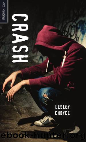 Crash by Lesley Choyce