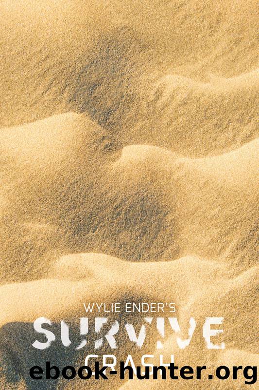 Crash by Wylie Ender