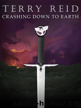 Crashing Down to Earth by Terry Reid
