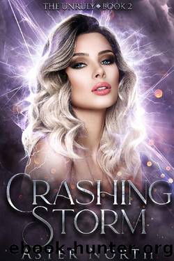 Crashing Storm (The Unruly Book 2) by Aster North