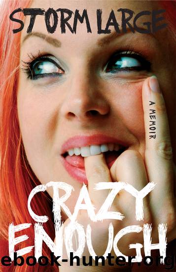 Crazy Enough by Storm Large