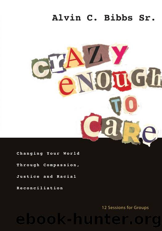 Crazy Enough to Care : Changing Your World Through Compassion, Justice and Racial Reconciliation by Sr. Alvin C. Bibbs