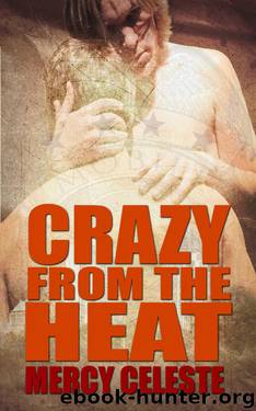 Crazy From the Heat by Mercy Celeste