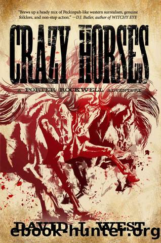 Crazy Horse by David J. West