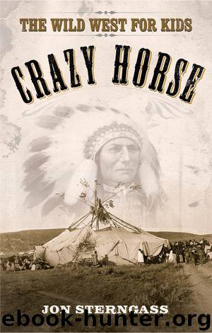 Crazy Horse by Jon Sterngass