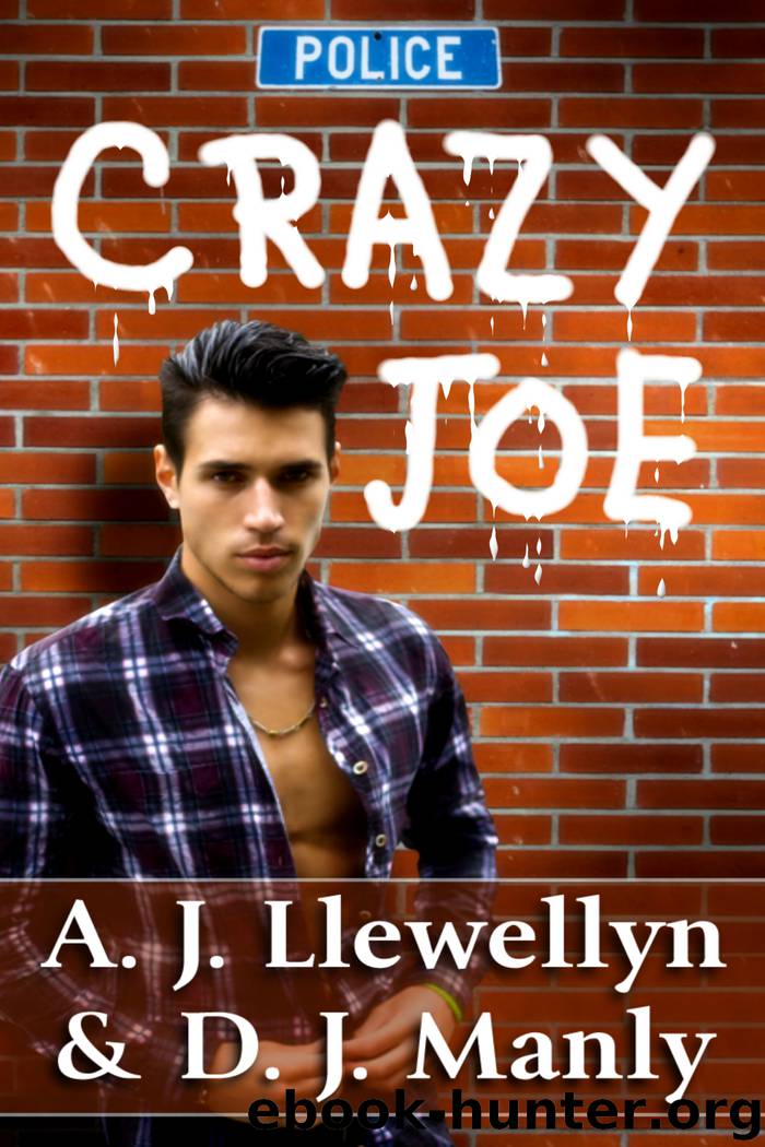 Crazy Joe by A. J. Llewellyn & D. J. Manly