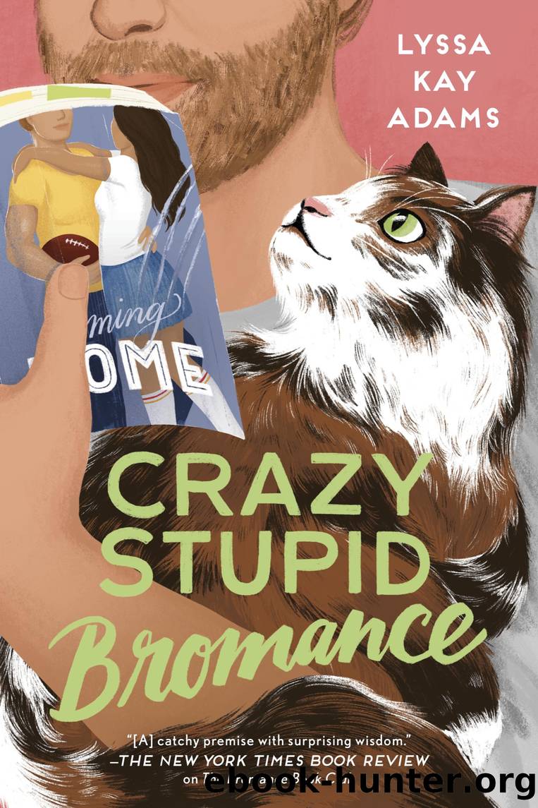 Crazy Stupid Bromance by Lyssa Kay Adams