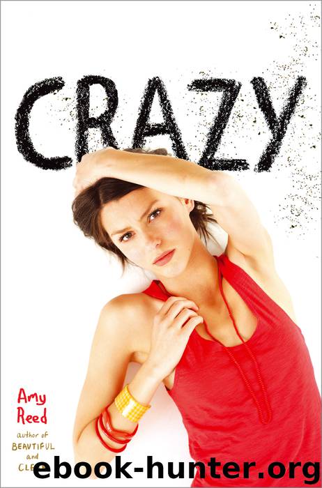 Crazy by Amy Reed