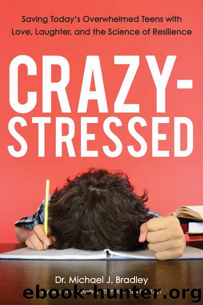 Crazy-Stressed by Michael J. Bradley