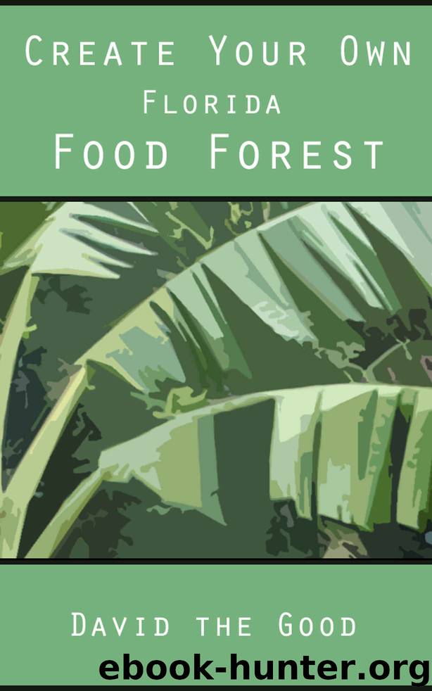 Create Your Own Florida Food Forest by David The Good