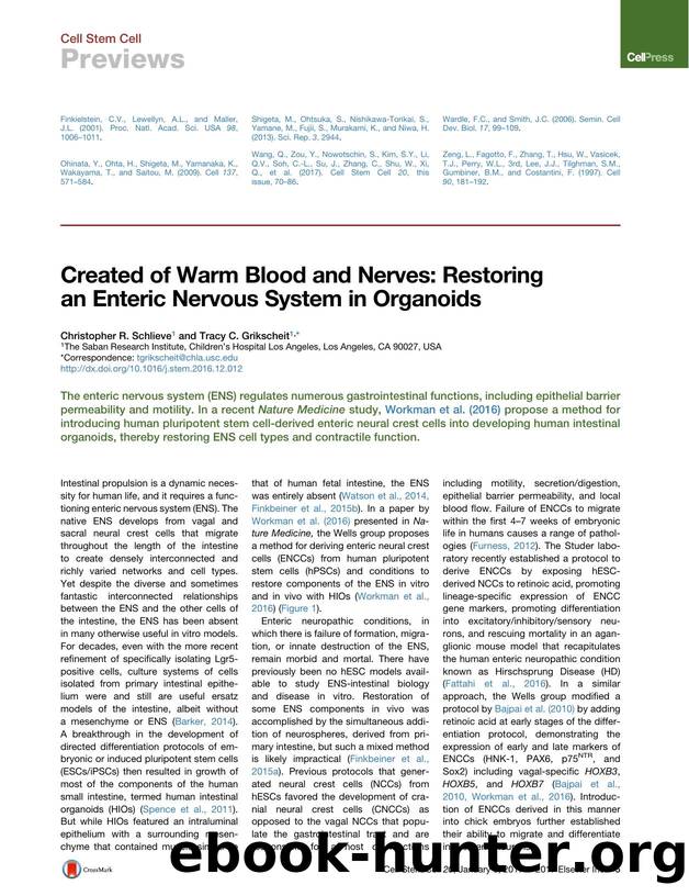 Created of Warm Blood and Nerves: Restoring an Enteric Nervous System in Organoids by Christopher R. Schlieve & Tracy C. Grikscheit