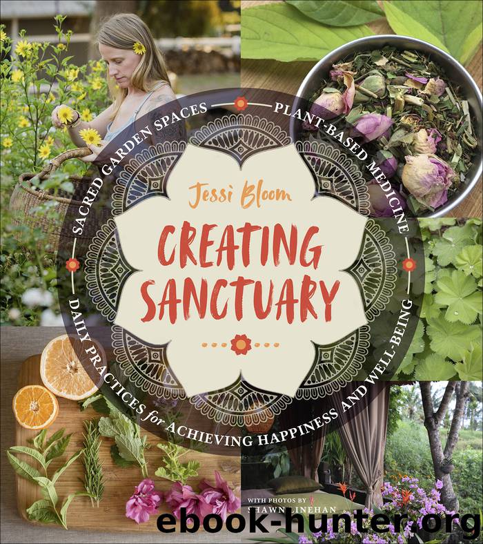 Creating Sanctuary by Jessi Bloom