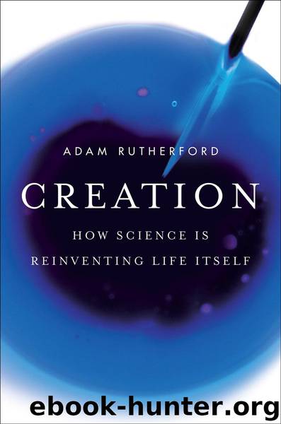 Creation by Adam Rutherford