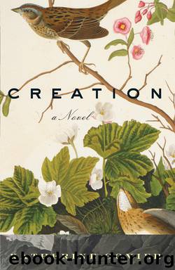 Creation by Katherine Govier