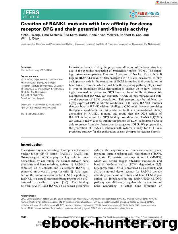 Creation of RANKL mutants with low affinity for decoy receptor OPG and their potential antiâfibrosis activity by Unknown