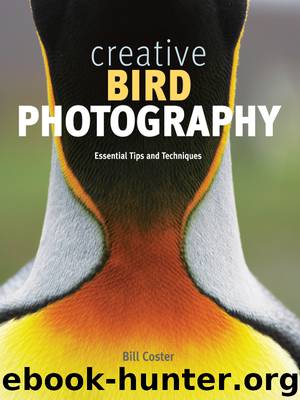 Creative Bird Photography by Bill Coster
