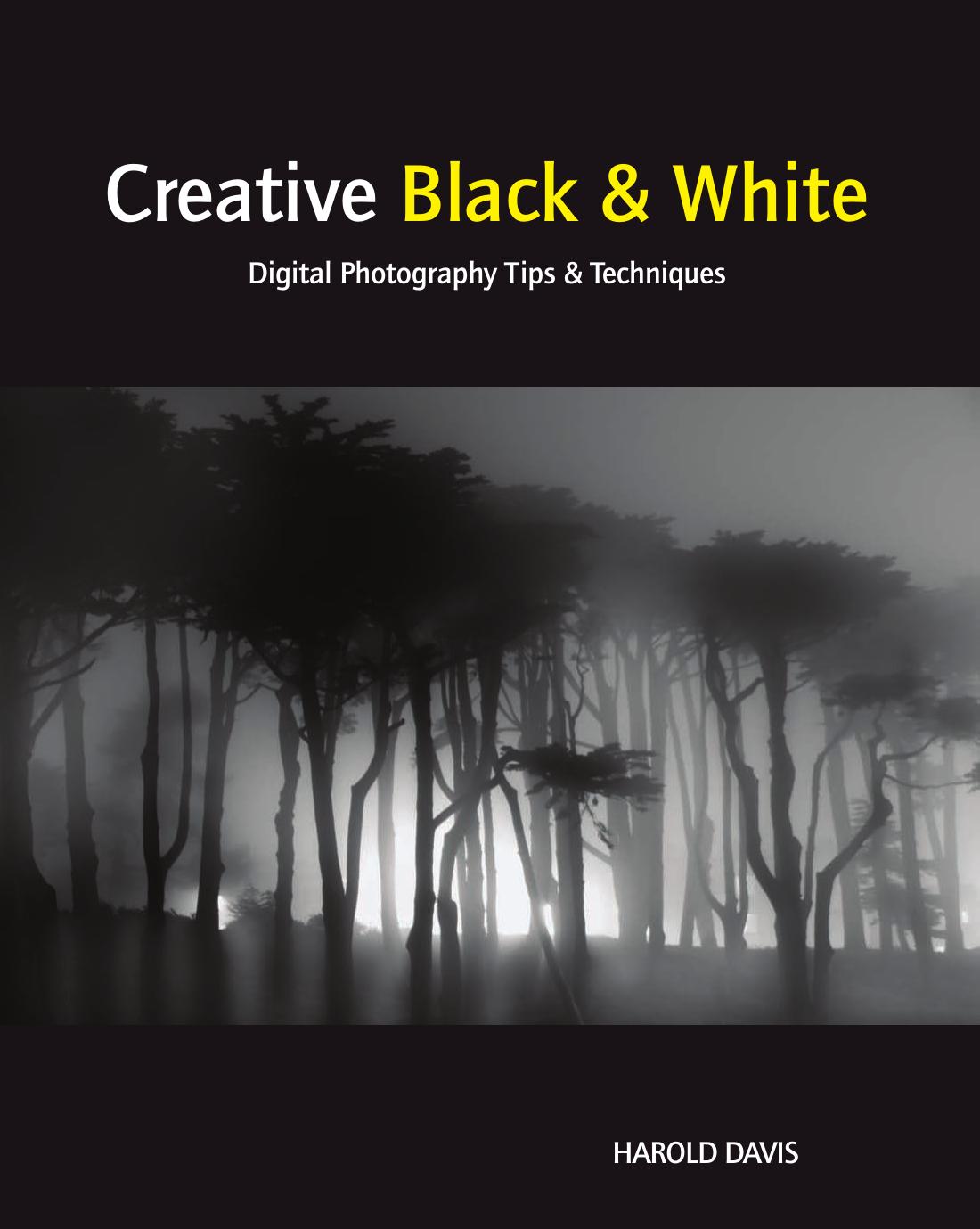 Creative Black and Black - Digital Photography Tips and Techniques by Harold Davis