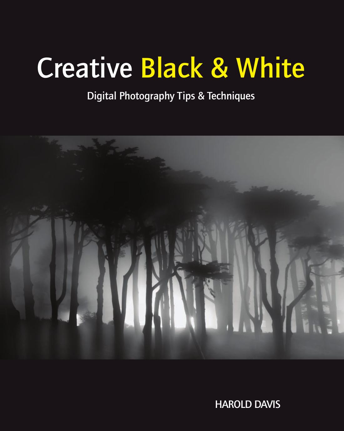 Creative Black and White Digital Photography by Tips & Techniques (20