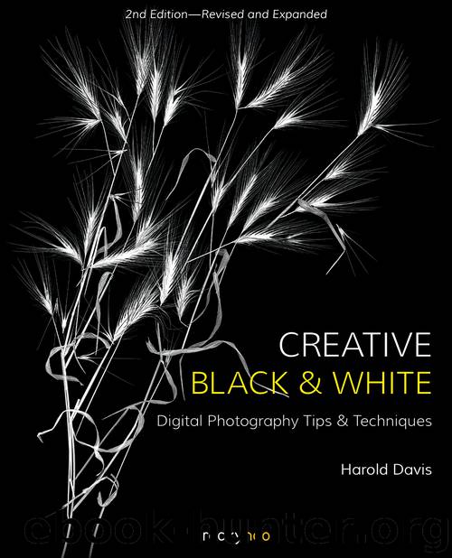 Creative Black and White by Harold Davis