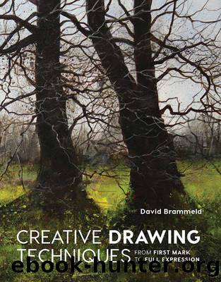Creative Drawing Techniques by Brammeld David;