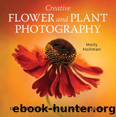 Creative Flower and Plant Photography by Hollman Molly;