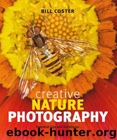 Creative Nature Photography by Bill Coster