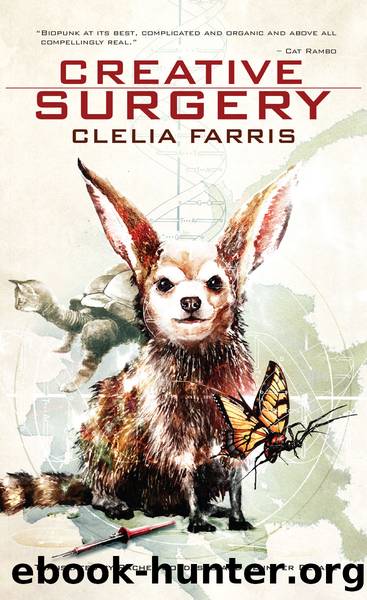 Creative Surgery by Clelia Farris