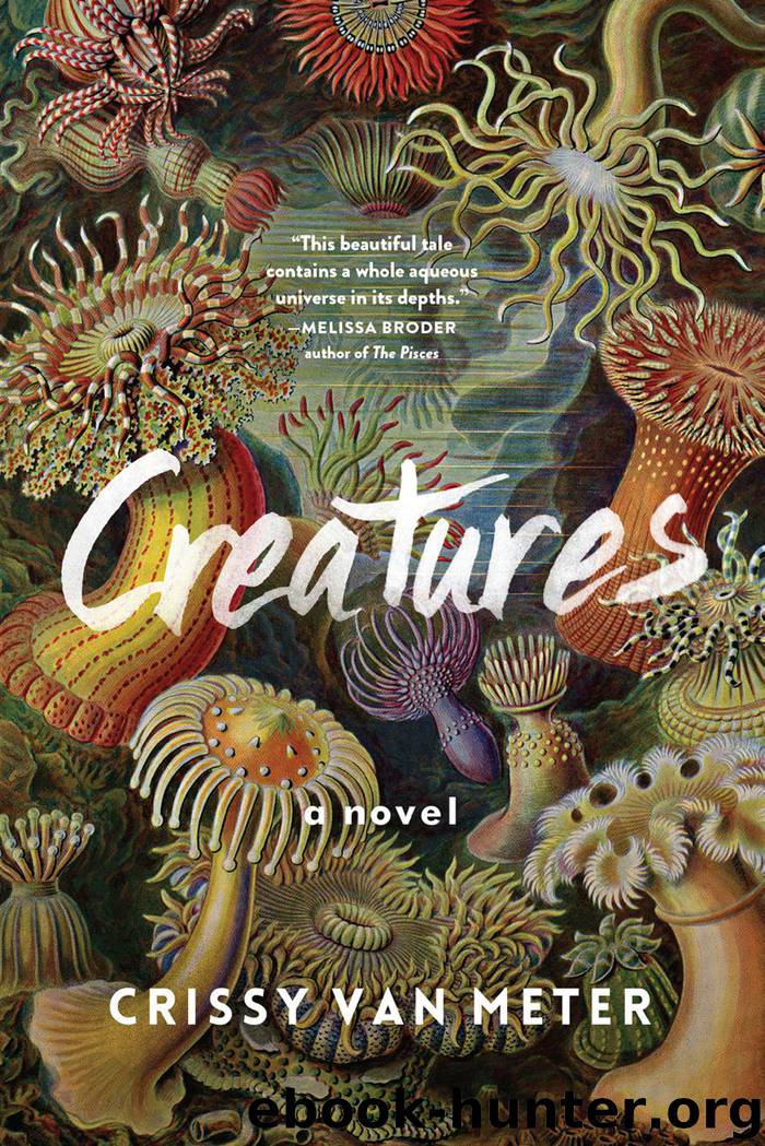 Creatures by Crissy Van Meter