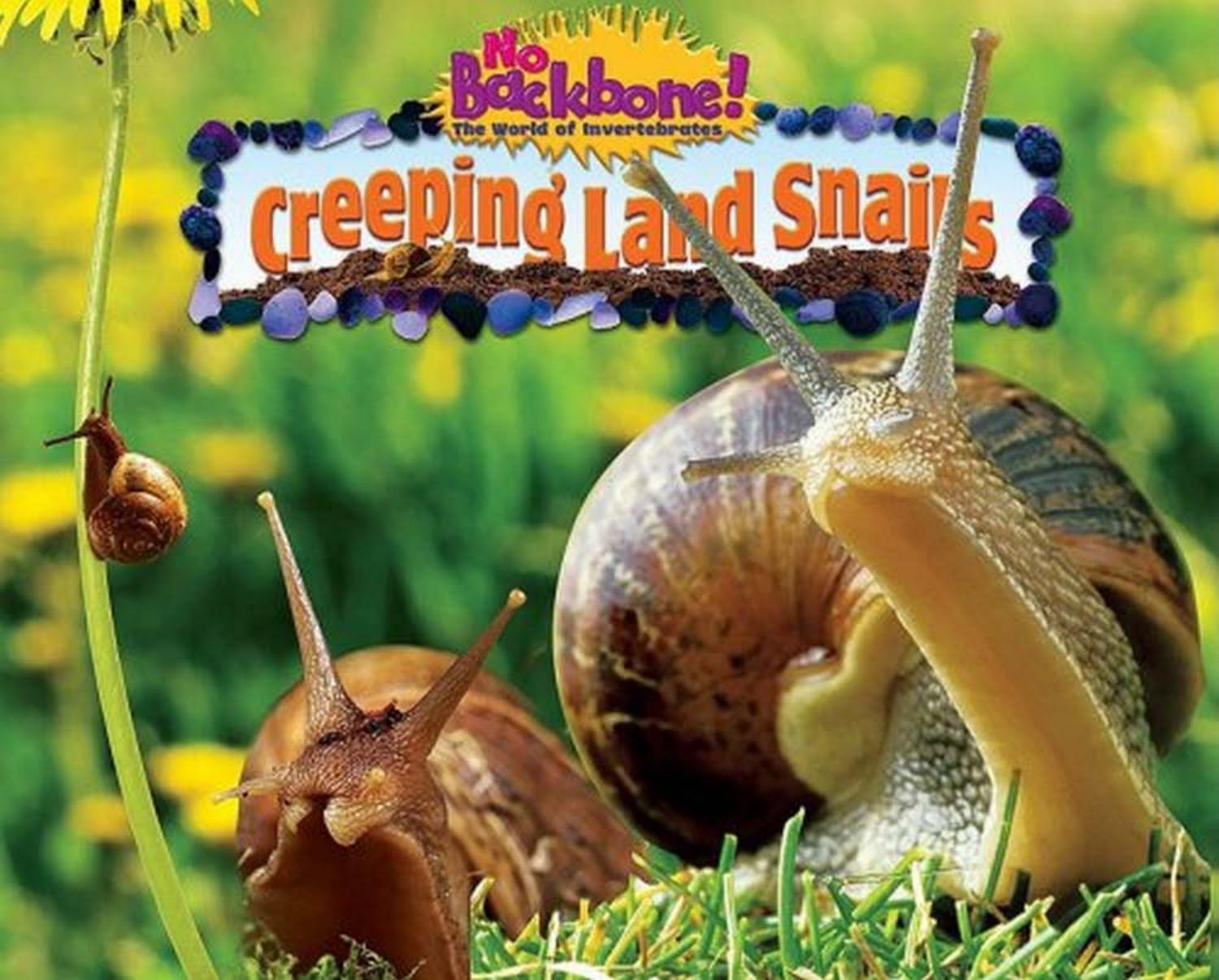 Creeping Land Snails (No Backbone! the World of Invertebrates) by Nancy White
