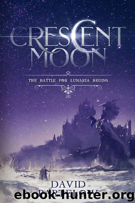 Crescent Moon by David Partelow