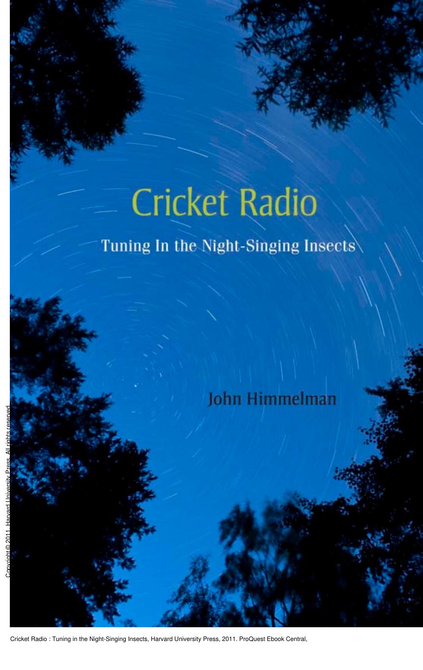 Cricket Radio : Tuning in the Night-Singing Insects by John Himmelman