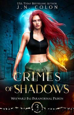 Crimes of Shadows (Wayward Fae Paranormal Prison Book 3) by J.N. Colon