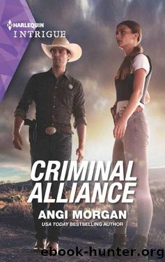 Criminal Alliance (Texas Brothers 0f Company B Series Book 4) by Angi Morgan