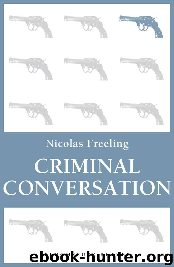 Criminal Conversation by Nicolas Freeling