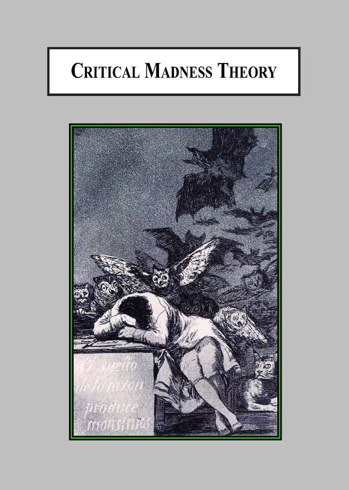 Critical Madness Theory : a Way of Interpreting Irrational Behavior as Political Action by Bradley Kaye Daniel Kolak Diane Wiener