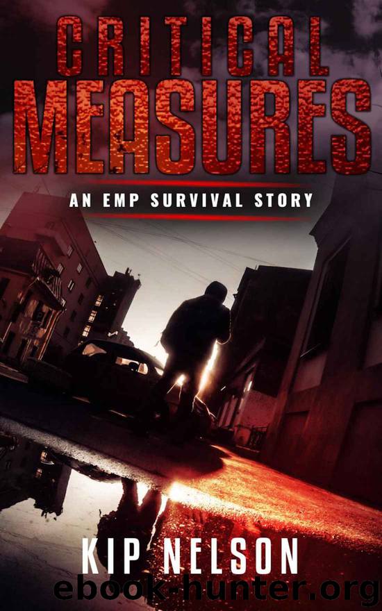 Critical Measures (Beyond the Collapse Book 4) by Kip Nelson