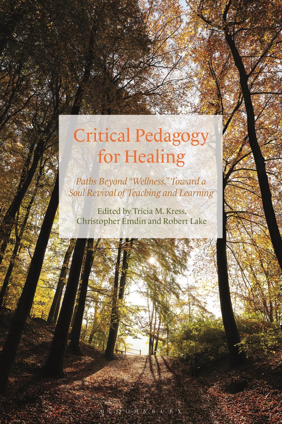 Critical Pedagogy for Healing Paths beyond âWellness,â toward a Soul Revival of Teaching and Learning by Tricia M. Kress & Christopher Emdin and Robert Lake