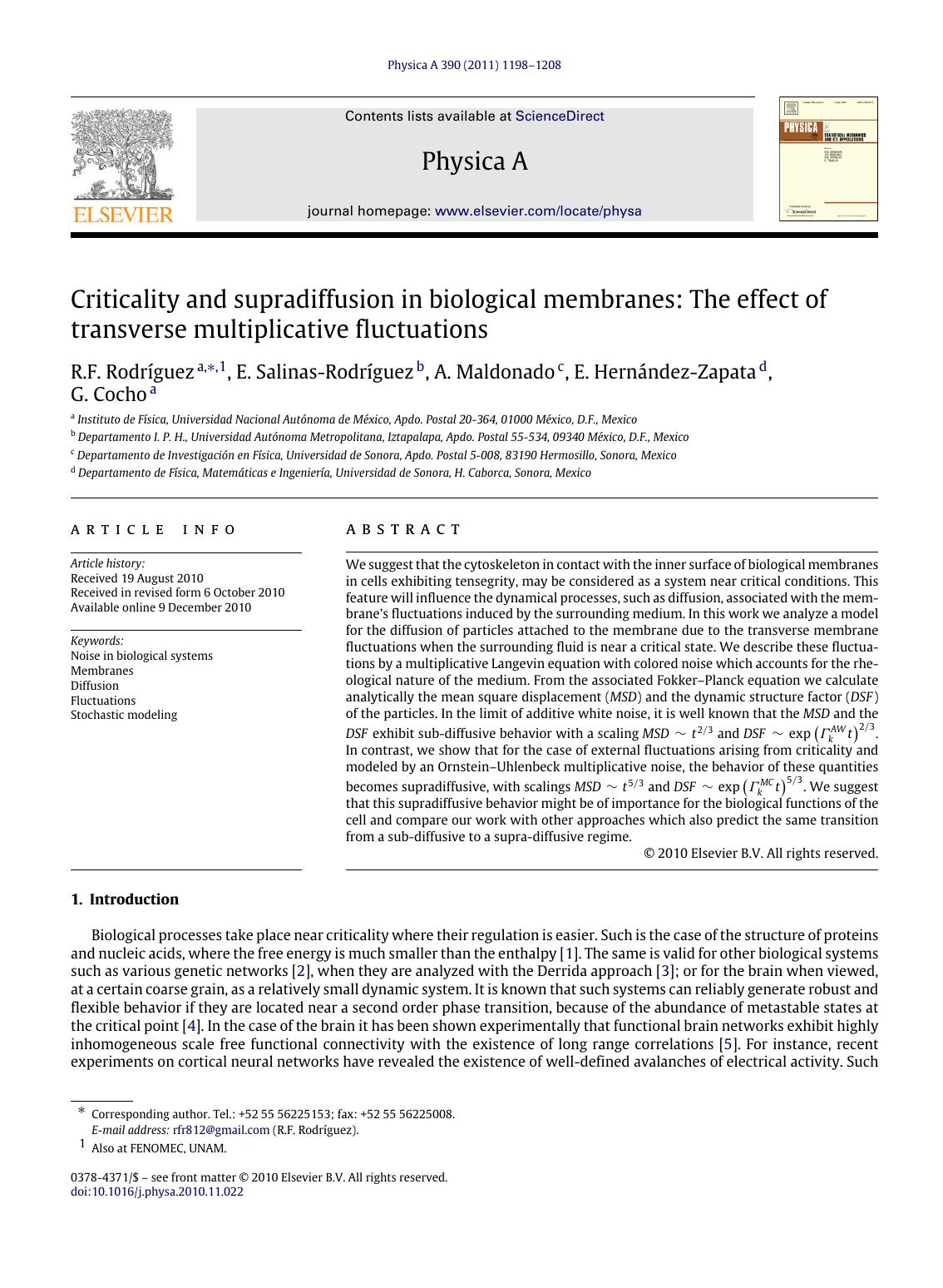 Criticality and supradiffusion in biological membranes: The effect of transverse multiplicative fluctuations by R.F. Rodríguez & E. Salinas-Rodríguez & A. Maldonado & E. Hernández-Zapata & G. Cocho