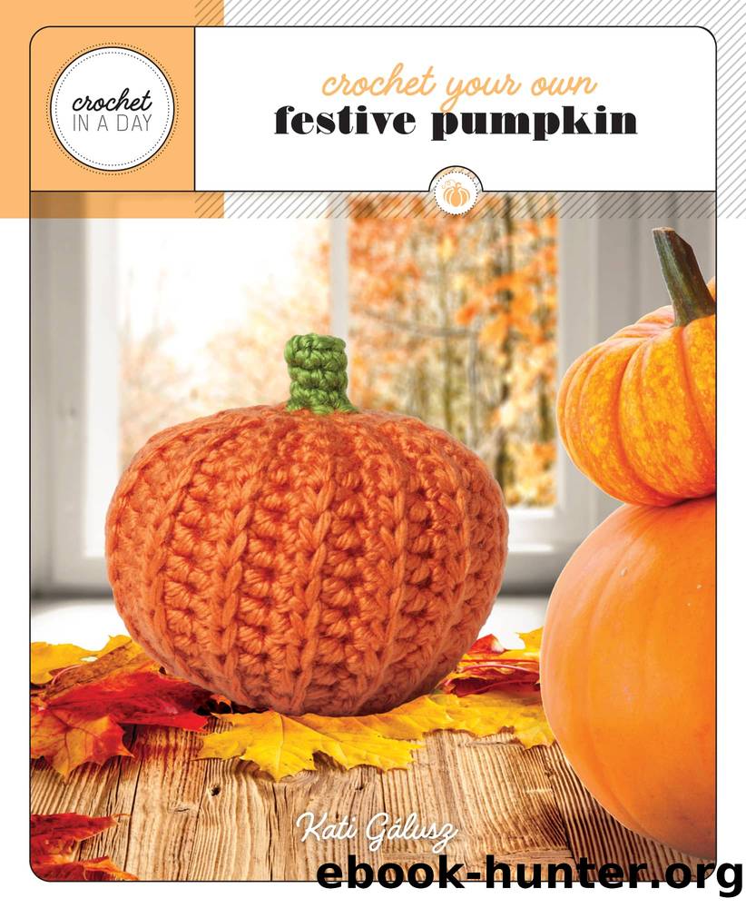 Crochet Your Own Festive Pumpkin by Kati Gálusz