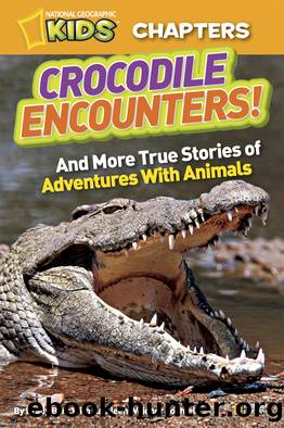 Crocodile Encounters by Brady Barr