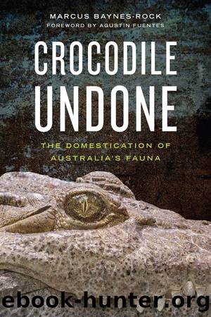 Crocodile Undone by Marcus Baynes-Rock