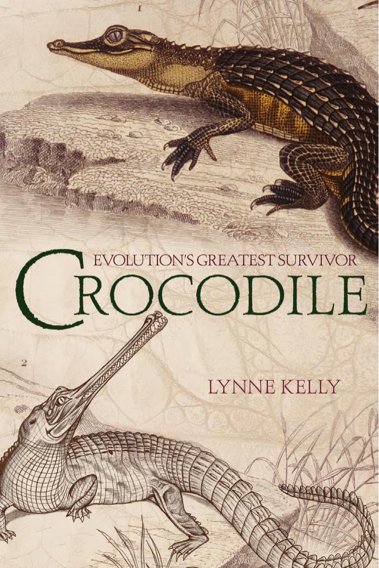 Crocodile by Lynne Kelly