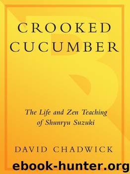 Crooked Cucumber by David Chadwick
