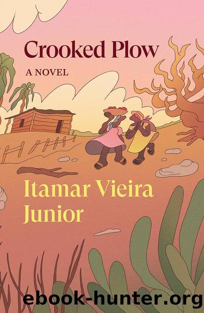 Crooked Plow by Itamar Vieira Junior